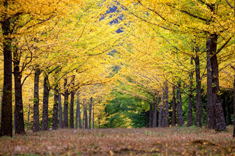 c752f8b9d4b6b723360e2606e8052b7c_1533840